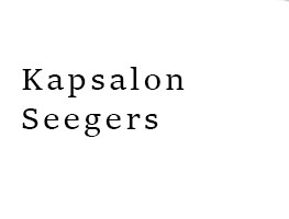 Kapsalon Seegers